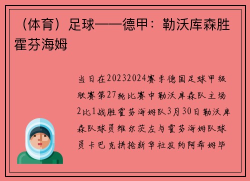 （体育）足球——德甲：勒沃库森胜霍芬海姆